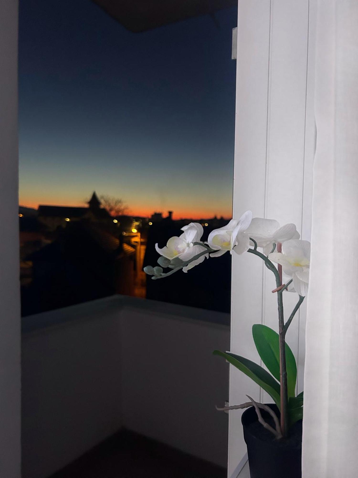 Davcom Studio Făgăraş Buitenkant foto